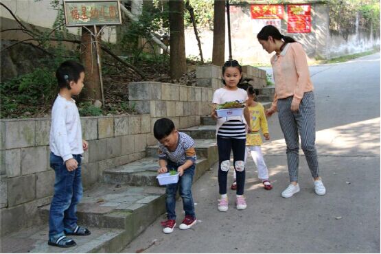 我捡了满满的一篮子