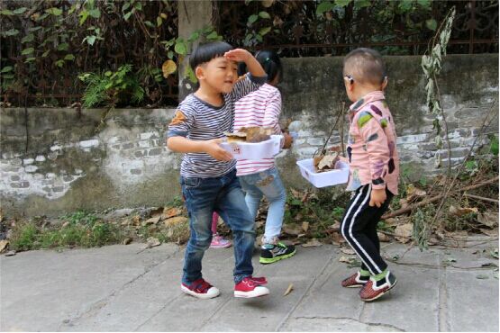 看一看，哪里还有我喜欢的树叶