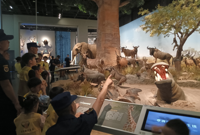 伍家岗残联携手消防员带耳蜗宝宝开启动物探秘之旅